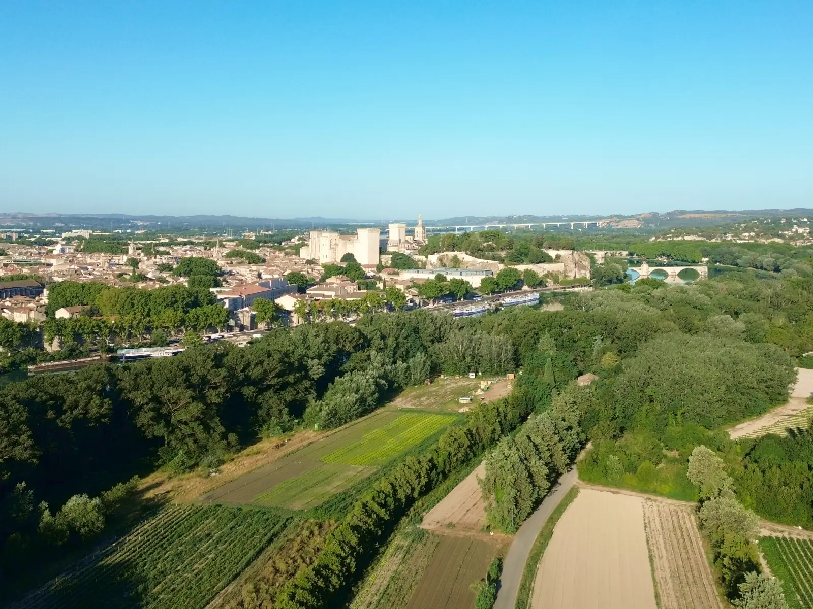Avignon-barthelasse