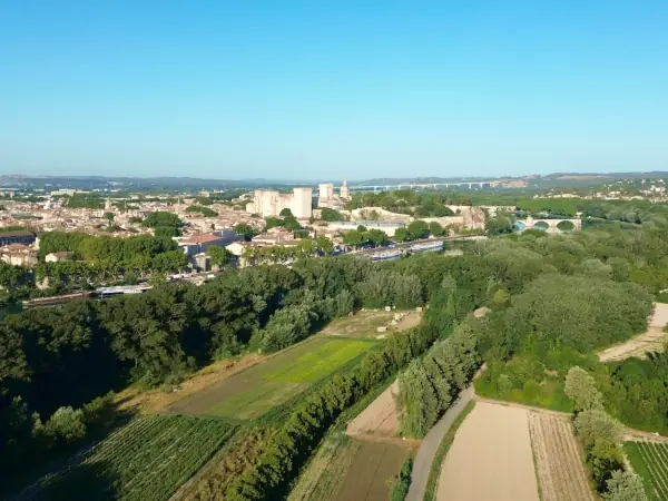 Avignon and Provence