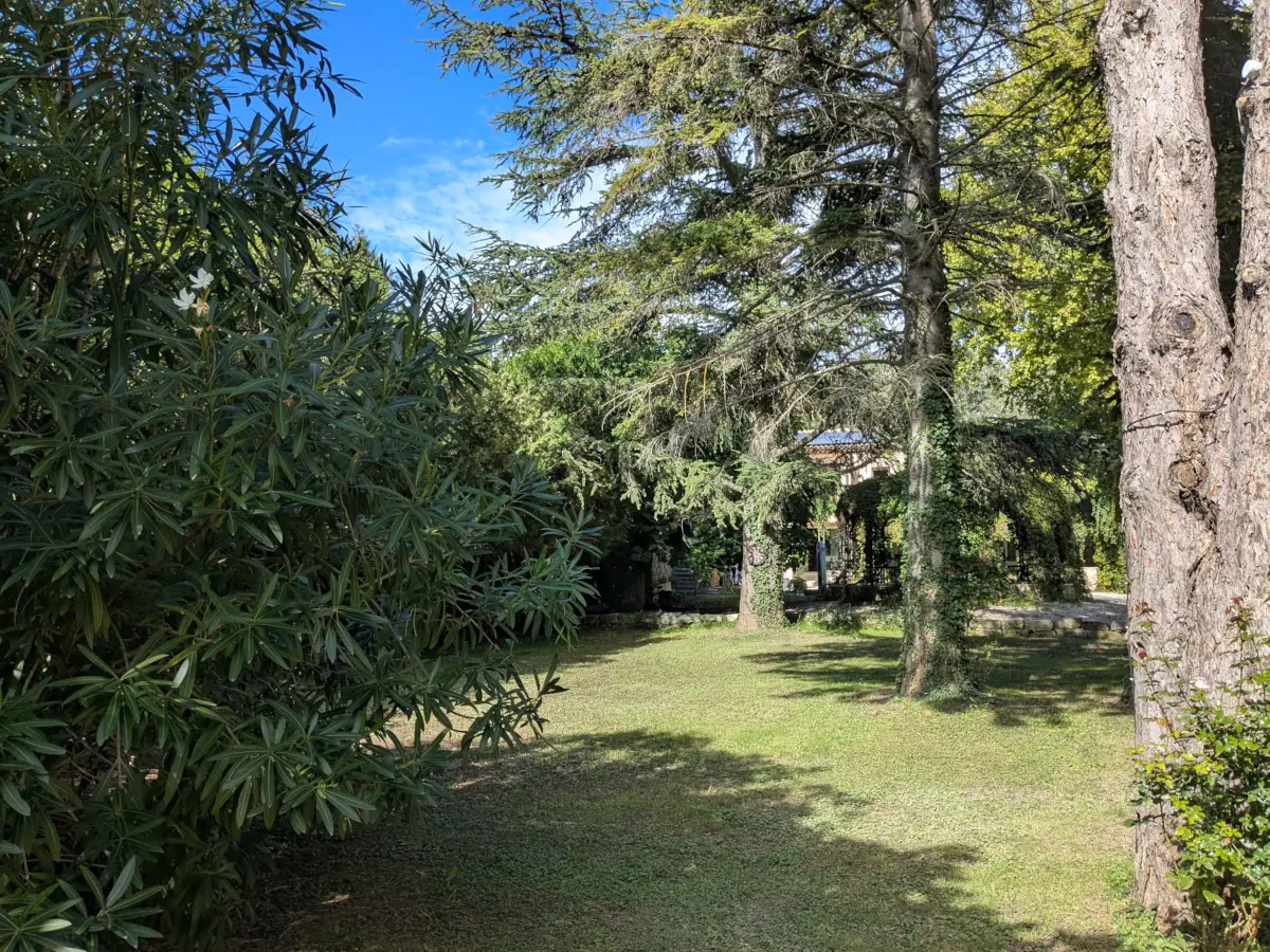 Jardin de la maison d'hôtes le Mas de l'île à Avignon