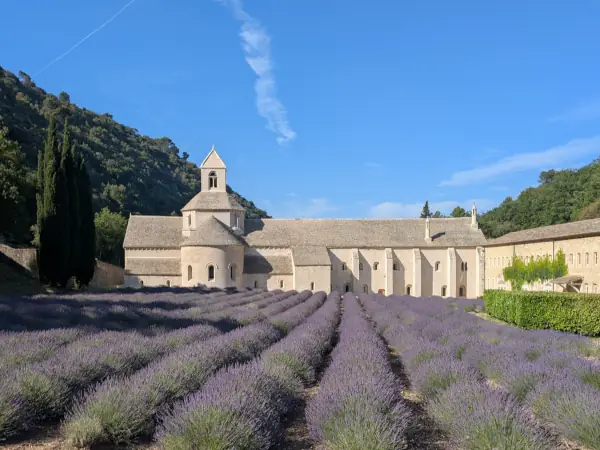 Sénanque